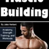 Muscle Building