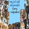My Dog, my pet and inseparable furry companion