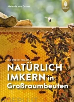Natürlich imkern in Großraumbeuten
