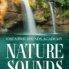 Nature Sounds: Calm Your Body With Calming Nature Sounds of Forest and Zen Waterfall for Relaxation, Deep Sleep, Meditation, Focus and Yoga. Achieve Deeper Levels of Awareness and Live Your Best Life
