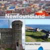 Newfoundland Travel Guide