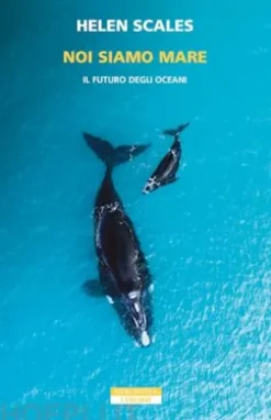 Noi siamo mare