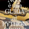 NON è una GUIDA al PYTHON REGIUS