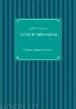 Notes Et Réflexions