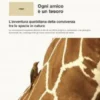 Ogni amico e` un tesoro