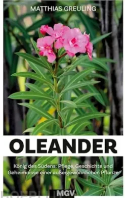 Oleander - König des Südens