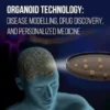 Organoid Technology: Disease Modelling, Drug Discovery and Personalized Medicine