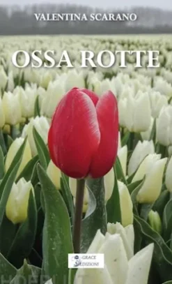 Ossa rotte