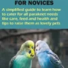 PARAKEETS CARE FOR NOVICES
