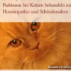 Parkinson bei Katzen behandeln mit Homöopathie und Schüsslersalzen