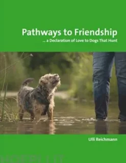 Pathways to Friendship