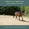 Pferde an der langen Leine