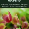 Piante Carnivore Manuale Pratico Completo