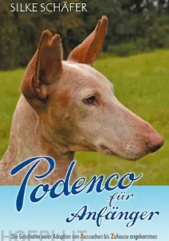 Podenco für Anfänger