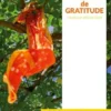 91 poèmes de gratitude