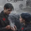 Poppies