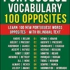 Portuguese Vocabulary - 100 Opposites
