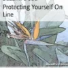 Protecting Yourself On Line