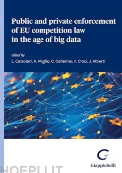 Public and Private Enforcement of EU Competition Law in the Age of Big Data