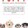 Puppy Training Guide for Beginners