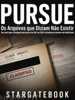 Pursue (traduzido)