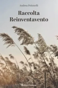 Raccolta Reinventavento