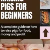 Raising pigs for beginners