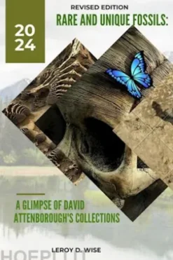 Rare and Unique Fossils