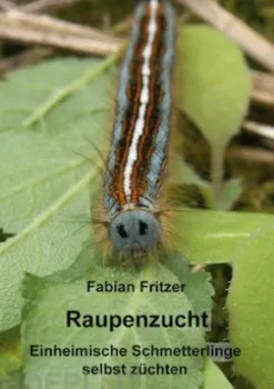 Raupenzucht