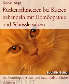 Rückenschmerzen bei Katzen behandeln mit Homöopathie und Schüsslersalzen