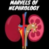 Renal Reflections: Exploring the Marvels of Nephrology
