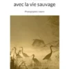 Rencontres avec la vie sauvage
