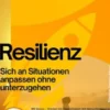 Resilienz – Sich an Situationen anpassen ohne unterzugehen