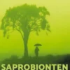 Saprobionten im Jasmund