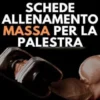 Schede Allenamento Massa per la Palestra