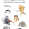 Schräge Vögel