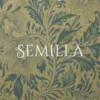 Semilla
