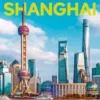 Shanghai Pocket
