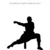 Shaolin Temple: The Ancient Heart of Martial Arts