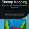 Shrimp Keeping: Aquarium Setup Basics for Neocaridina & Caridina