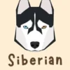 Siberian Husky