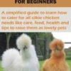 SILKIE CHICKEN GUIDE FOR BEGINNERS