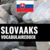 Slovaaks vocabulaireboek