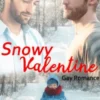 Snowy Valentine: Gay Romance