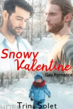 Snowy Valentine: Gay Romance