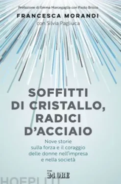 Soffitti di cristallo, radici d'acciaio
