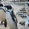 Spanish Short Stories For Beginners (Easy Spanish)