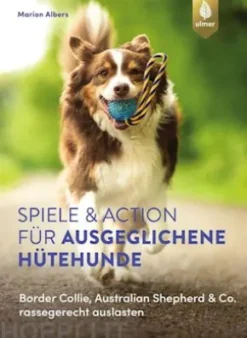 Spiele und Action für ausgeglichene Hütehunde