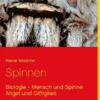 Spinnen