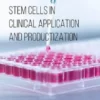 Stem Cells in Clinical Application and Productization
